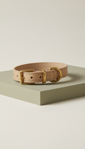 Vegetable-Tanned Leather Pet Collar